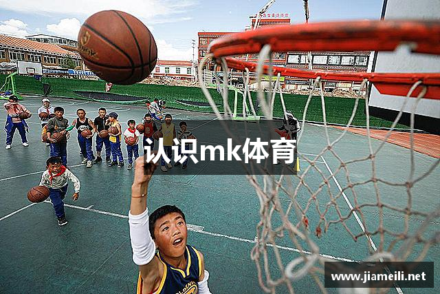 认识mk体育
